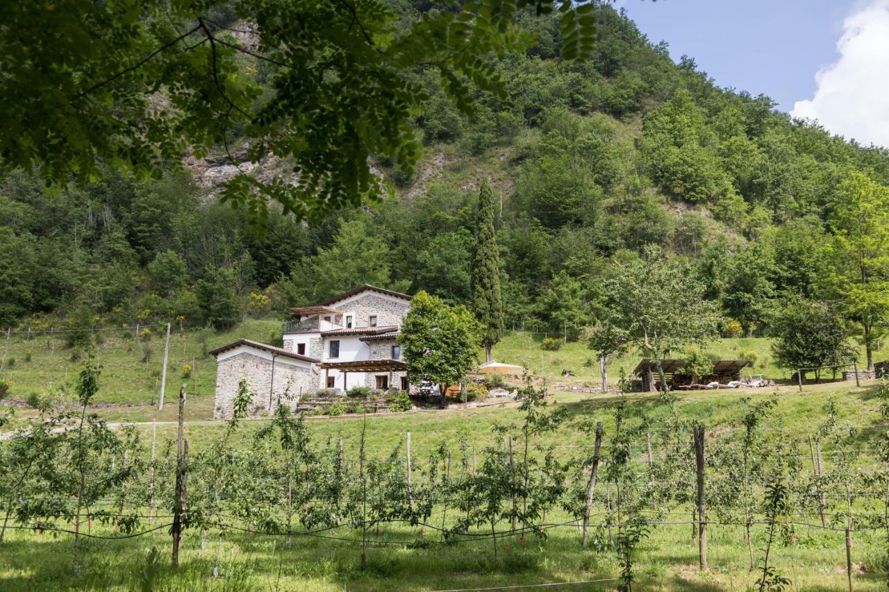 Agriturismo Di La Dall'Acqua Fivizzano Eksteriør bilde